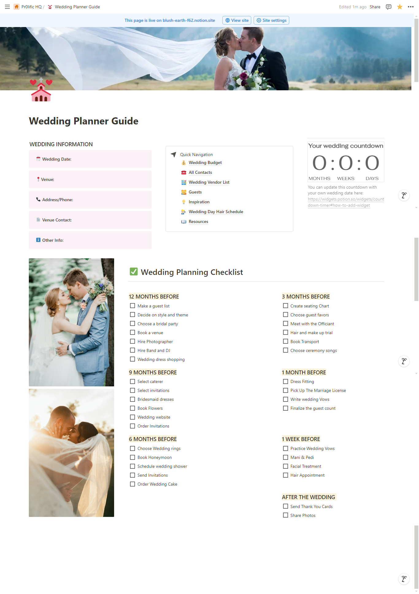 Wedding Planning Bundle: Guide + Notion Template